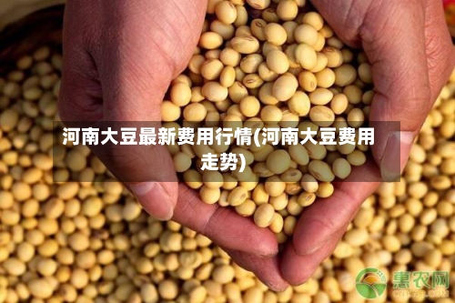 河南大豆最新费用行情(河南大豆费用走势)-第2张图片