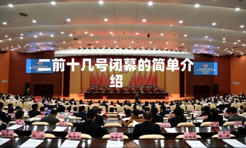 二前十几号闭幕的简单介绍-第2张图片