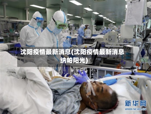 沈阳疫情最新消息(沈阳疫情最新消息纳帕阳光)-第2张图片