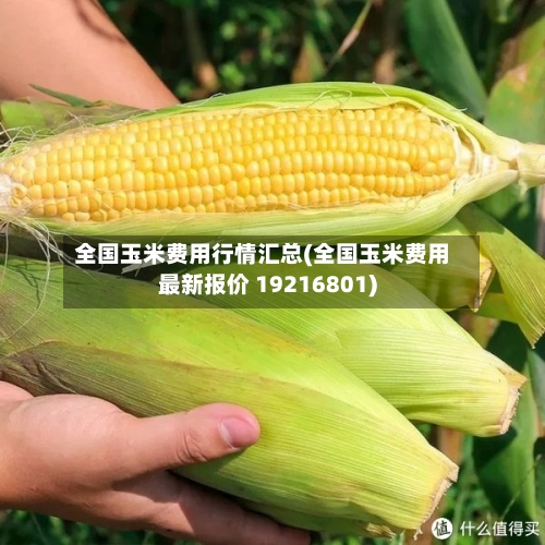 全国玉米费用行情汇总(全国玉米费用最新报价 19216801)