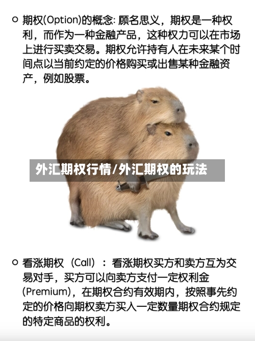 外汇期权行情/外汇期权的玩法