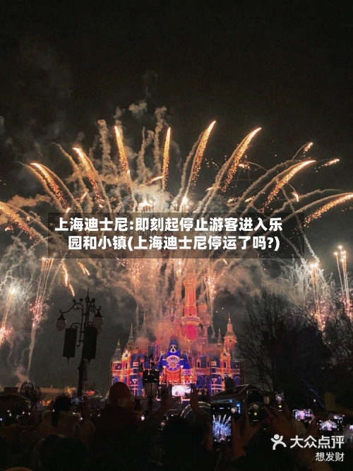上海迪士尼:即刻起停止游客进入乐园和小镇(上海迪士尼停运了吗?)-第2张图片