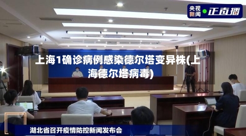 上海1确诊病例感染德尔塔变异株(上海德尔塔病毒)-第2张图片