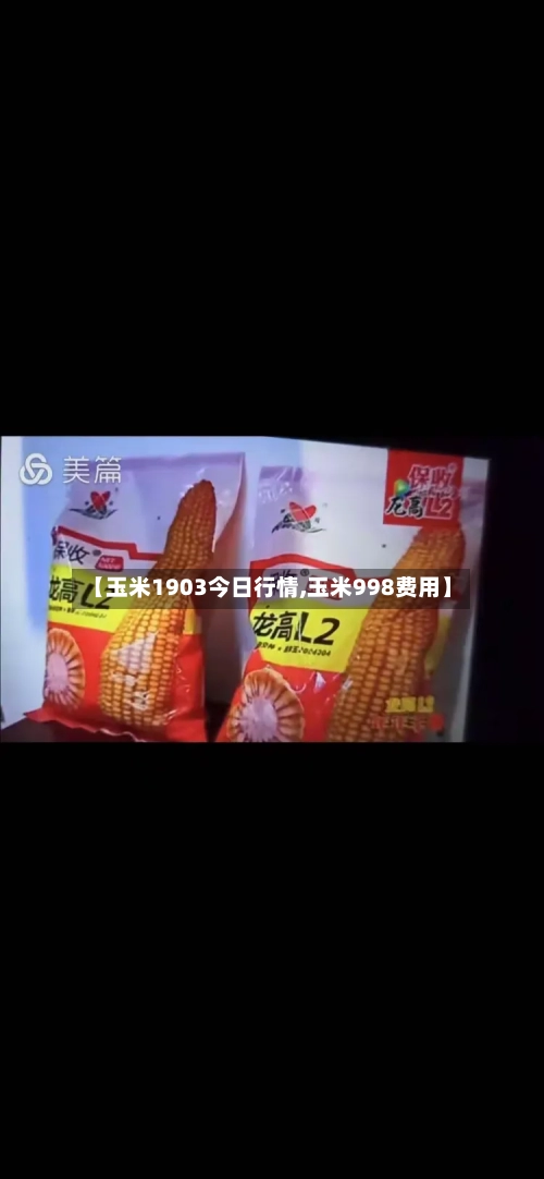 【玉米1903今日行情,玉米998费用】
