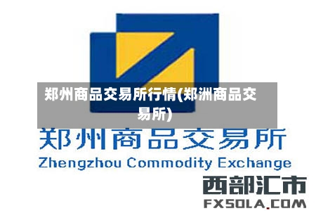 郑州商品交易所行情(郑洲商品交易所)
