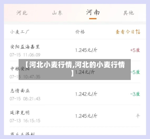 【河北小麦行情,河北的小麦行情】-第2张图片