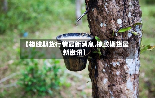 【橡胶期货行情最新消息,橡胶期货最新资讯】-第2张图片