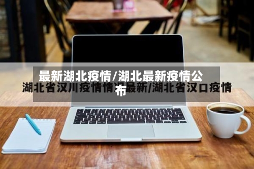 最新湖北疫情/湖北最新疫情公布-第2张图片