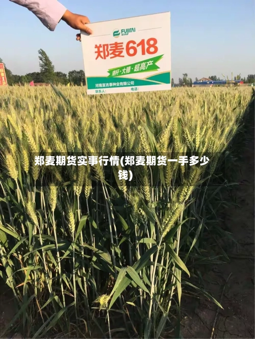 郑麦期货实事行情(郑麦期货一手多少钱)-第3张图片