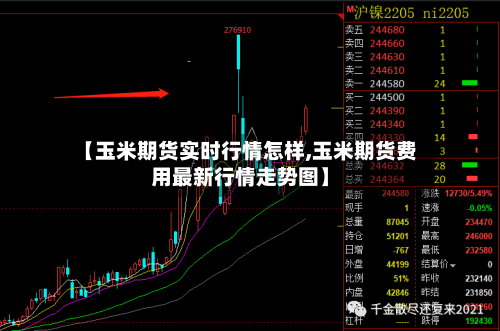 【玉米期货实时行情怎样,玉米期货费用最新行情走势图】-第2张图片