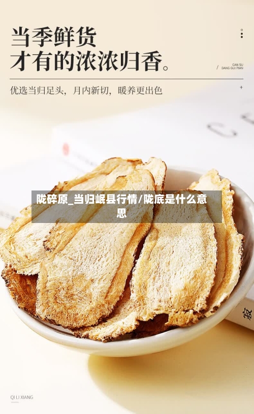 陇碎原_当归岷县行情/陇底是什么意思