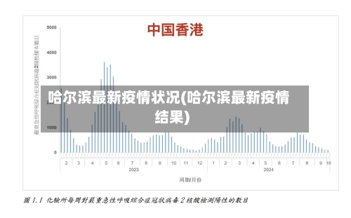 哈尔滨最新疫情状况(哈尔滨最新疫情结果)-第2张图片