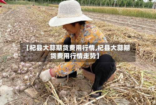 【杞县大蒜期货费用行情,杞县大蒜期货费用行情走势】-第2张图片