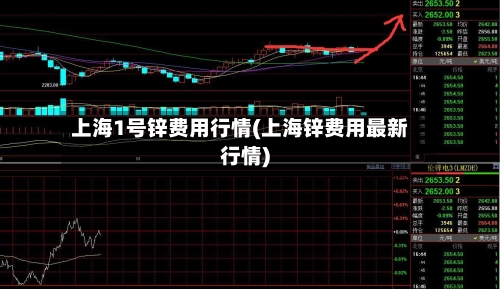 上海1号锌费用行情(上海锌费用最新行情)-第2张图片