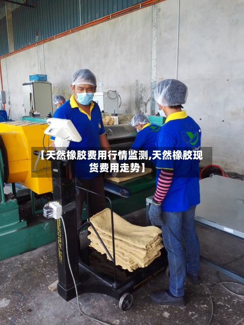 【天然橡胶费用行情监测,天然橡胶现货费用走势】-第2张图片
