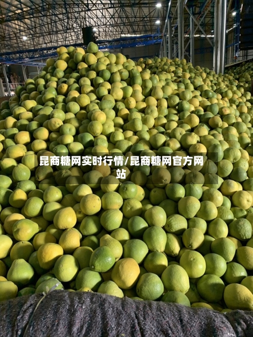 昆商糖网实时行情/昆商糖网官方网站-第2张图片