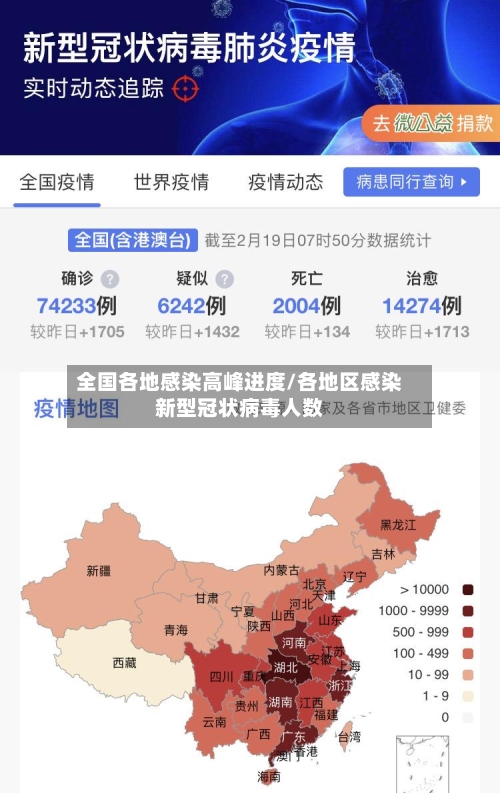 全国各地感染高峰进度/各地区感染新型冠状病毒人数