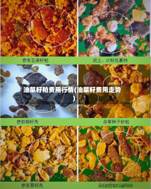 油菜籽粕费用行情(油菜籽费用走势)