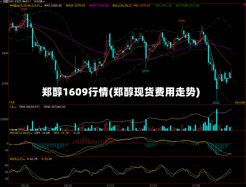 郑醇1609行情(郑醇现货费用走势)-第2张图片