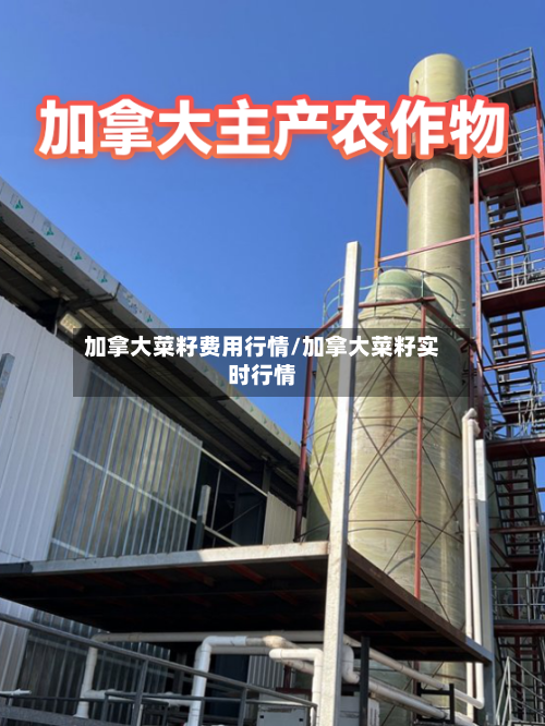 加拿大菜籽费用行情/加拿大菜籽实时行情