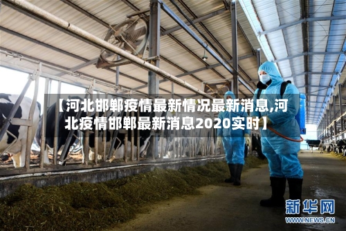 【河北邯郸疫情最新情况最新消息,河北疫情邯郸最新消息2020实时】