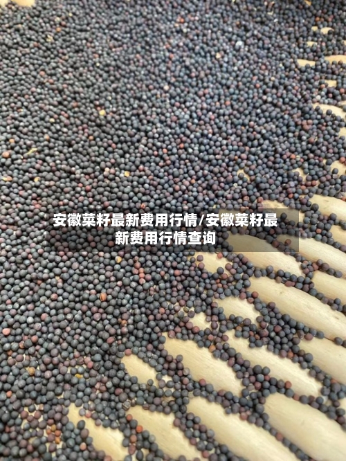 安徽菜籽最新费用行情/安徽菜籽最新费用行情查询