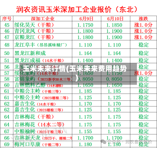 玉米未来行情(玉米未来费用趋势)-第2张图片
