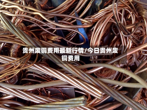 贵州废铜费用最新行情/今日贵州废铜费用