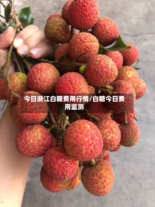 今日浙江白糖费用行情/白糖今日费用监测