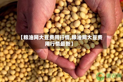 【粮油网大豆费用行情,粮油网大豆费用行情最新】