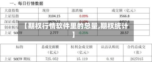 【期权行情软件里的总量,期权统计】