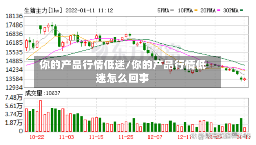 你的产品行情低迷/你的产品行情低迷怎么回事-第3张图片