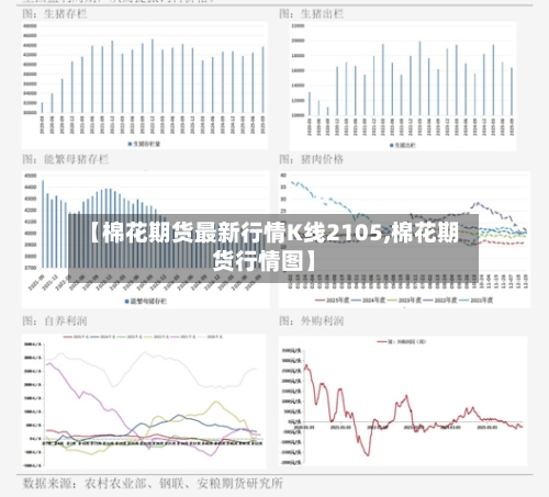 【棉花期货最新行情K线2105,棉花期货行情图】-第2张图片