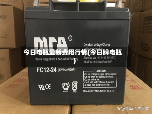 今日电瓶最新费用行情(今日牌电瓶)-第2张图片