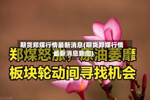 期货郑煤行情最新消息(期货郑煤行情最新消息新闻)-第3张图片