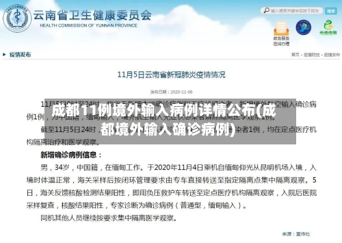 成都11例境外输入病例详情公布(成都境外输入确诊病例)-第2张图片