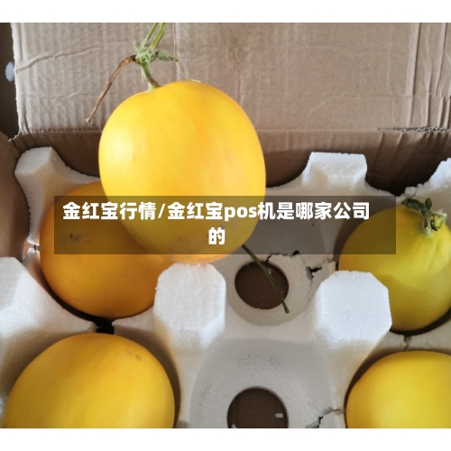金红宝行情/金红宝pos机是哪家公司的-第2张图片