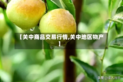 【关中商品交易行情,关中地区物产】-第2张图片