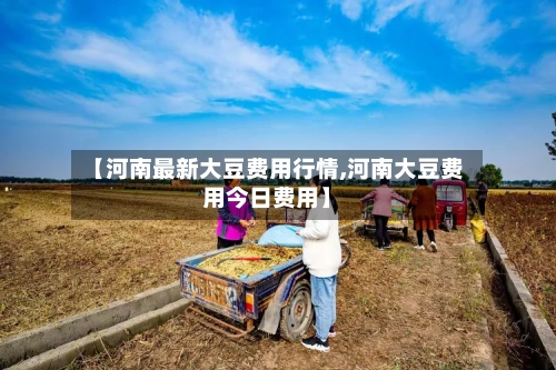 【河南最新大豆费用行情,河南大豆费用今日费用】-第3张图片