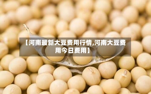 【河南最新大豆费用行情,河南大豆费用今日费用】
