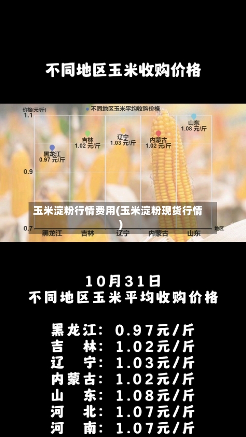 玉米淀粉行情费用(玉米淀粉现货行情)