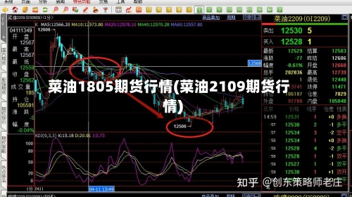 菜油1805期货行情(菜油2109期货行情)-第3张图片