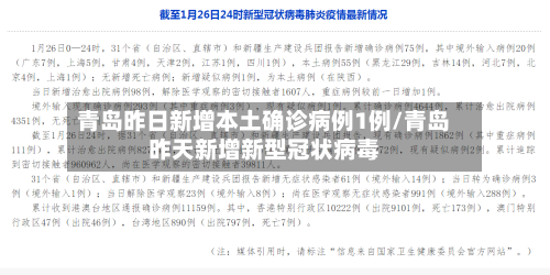青岛昨日新增本土确诊病例1例/青岛昨天新增新型冠状病毒