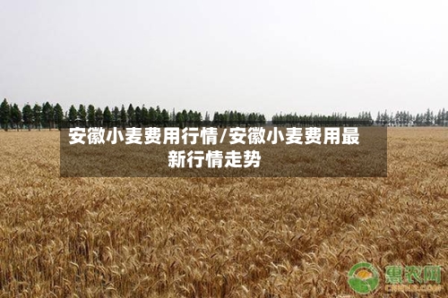 安徽小麦费用行情/安徽小麦费用最新行情走势-第3张图片