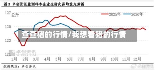 查查猪的行情/我想看猪的行情