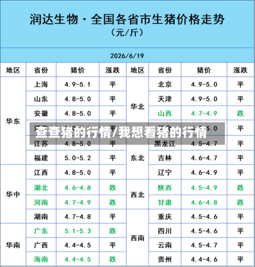 查查猪的行情/我想看猪的行情-第2张图片