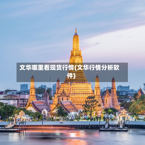 文华哪里看现货行情(文华行情分析软件)-第2张图片