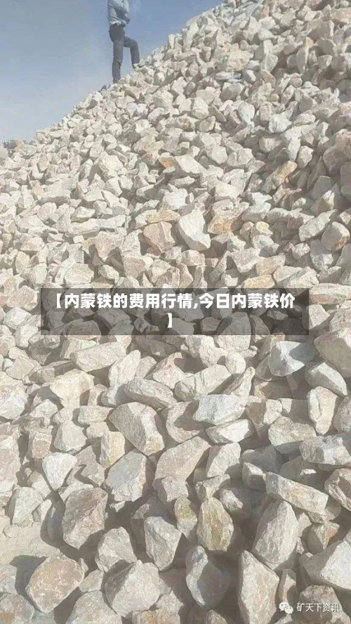 【内蒙铁的费用行情,今日内蒙铁价】-第2张图片