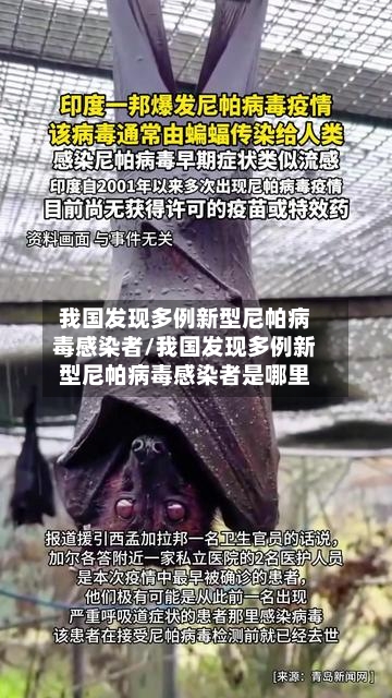 我国发现多例新型尼帕病毒感染者/我国发现多例新型尼帕病毒感染者是哪里