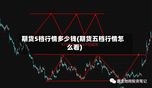 期货5档行情多少钱(期货五档行情怎么看)